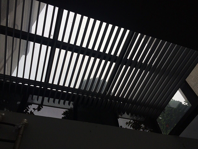 綯Ҷ